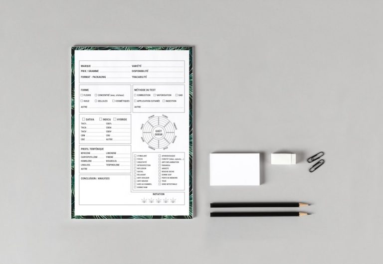 Die Kunst des stylischen Lebenslaufdesigns: So heben Sie sich ab!